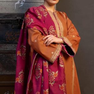 Stunning Orange Embroidered Suit Set with Dhanak Fabric