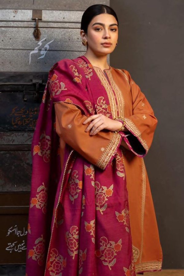 Stunning Orange Embroidered Suit Set with Dhanak Fabric